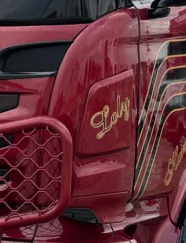 JUEGO DE DEFLECTORES SCANIA STREAMLINE