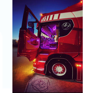 EMBLEMA PUERTA ILUMINADO GRIFFO SCANIA para Scania — Talleres Jaula (ampliada)