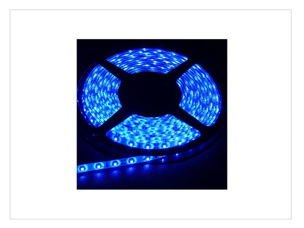 LED FLEXIBLE AZUL 24V IP65 (EXTERIOR) — Talleres Jaula