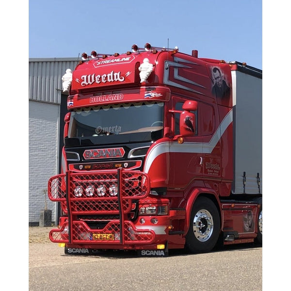 MATALOROS POLIESTER SCANIA R para Scania — Talleres Jaula — vista 2