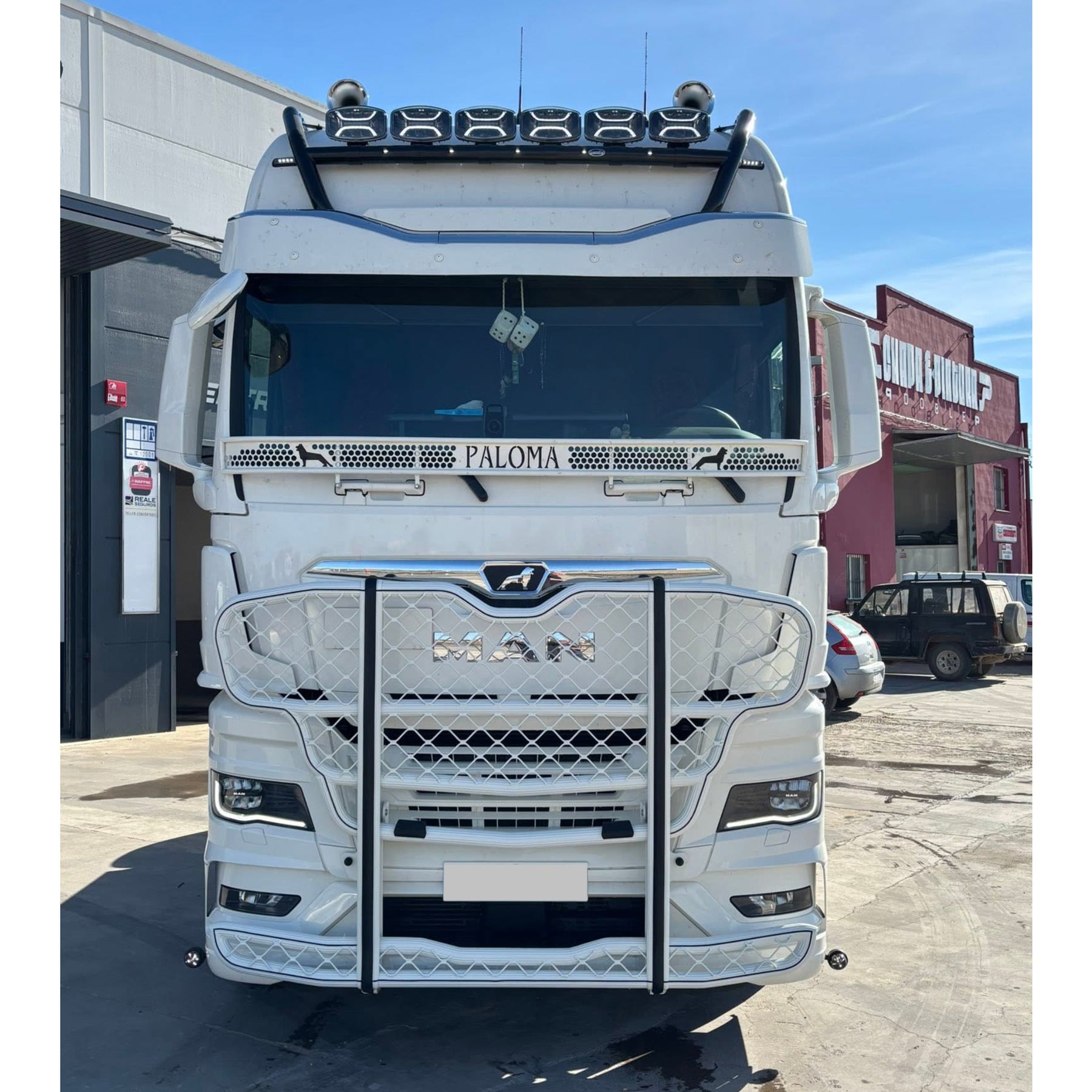 DEFENSA TRUX MAN TGX (ampliada)