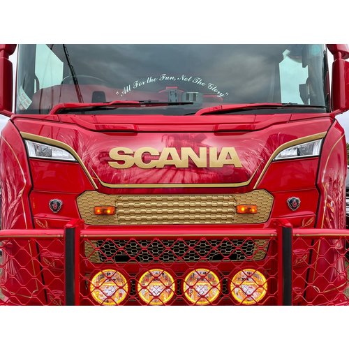 REJILLA CUBIERTA DELANTERA SCANIA NG R&amp;S para Scania — Talleres Jaula — vista 3 (ampliada)