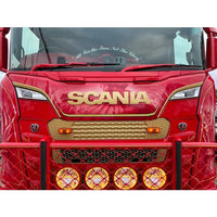 REJILLA CUBIERTA DELANTERA SCANIA NG R&amp;S para Scania — Talleres Jaula — vista 3