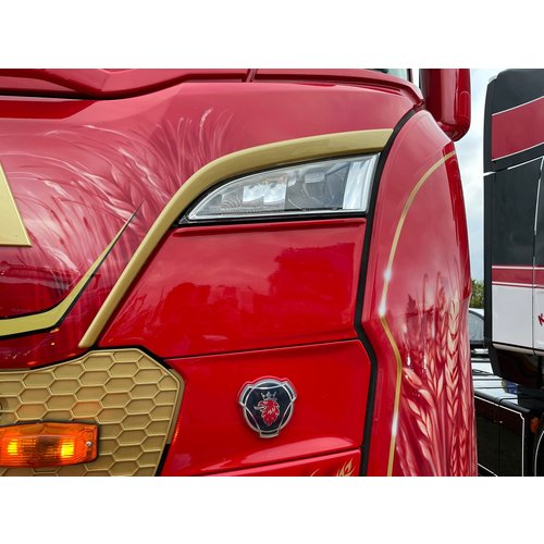REJILLA CUBIERTA DELANTERA SCANIA NG R&amp;S para Scania — Talleres Jaula — vista 2